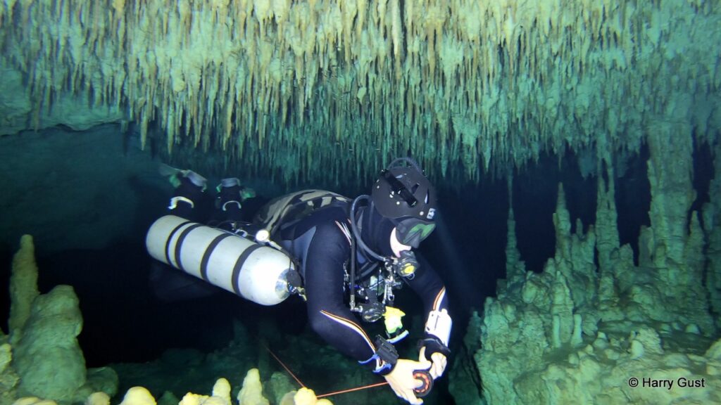 IANTD Intro to Cave Diver IANTD Cave Diver Julien Garnier Scuba Diving Mexico Playa del Carmen IANTD Cave Diver IANTD Cave Diver