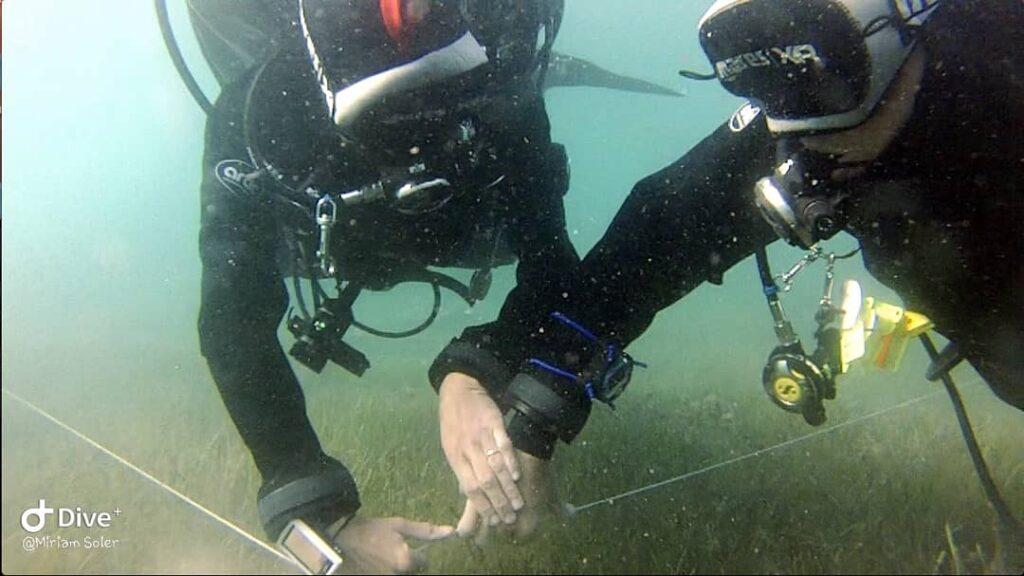 IANTD Cavern Diver Formation en plongée technique Julien Garnier Scuba diving Mexico Playa del Carmen